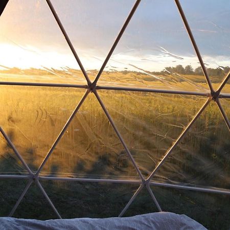 فيلا ماركِت راسنفي Lincoln Eco Dome - Heated المظهر الخارجي الصورة